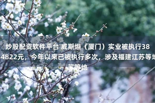 炒股配资软件平台 威斯坦（厦门）实业被执行3854822元，