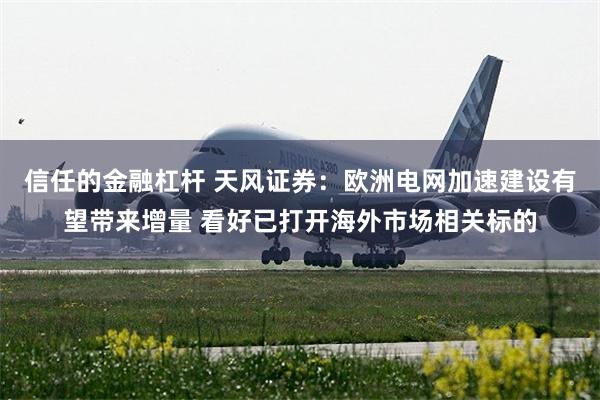 信任的金融杠杆 天风证券：欧洲电网加速建设有望带来增量 看好