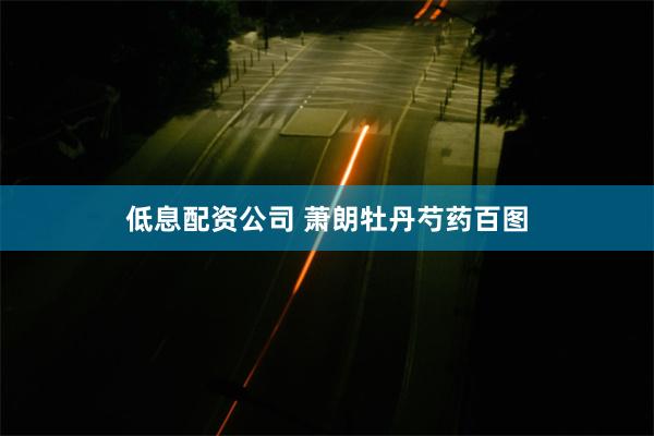 低息配资公司 萧朗牡丹芍药百图