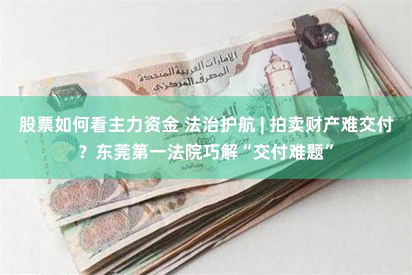 股票如何看主力资金 法治护航 | 拍卖财产难交付？东莞第一法