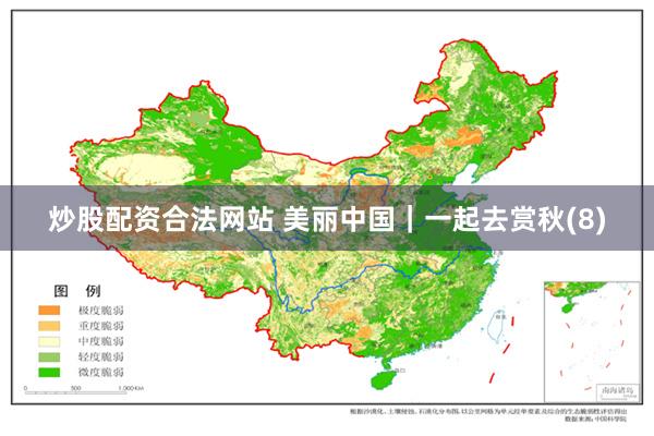 炒股配资合法网站 美丽中国｜一起去赏秋(8)