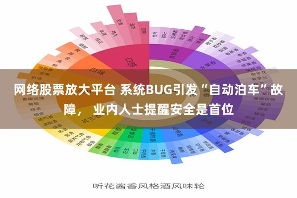 网络股票放大平台 系统BUG引发“自动泊车”故障， 业内人士