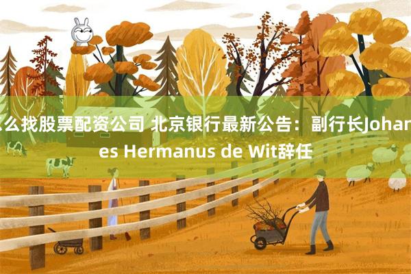 怎么找股票配资公司 北京银行最新公告：副行长Johannes Hermanus de Wit辞任