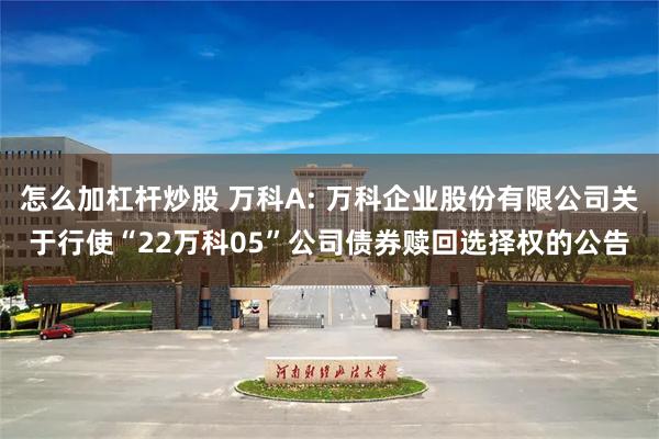 怎么加杠杆炒股 万科A: 万科企业股份有限公司关于行使“22